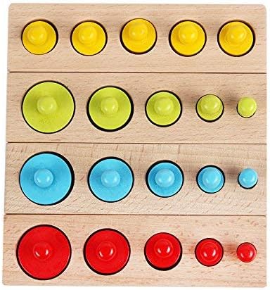 Sortierset für Zylinder – Montessori Sortierspielzeug aus Holz