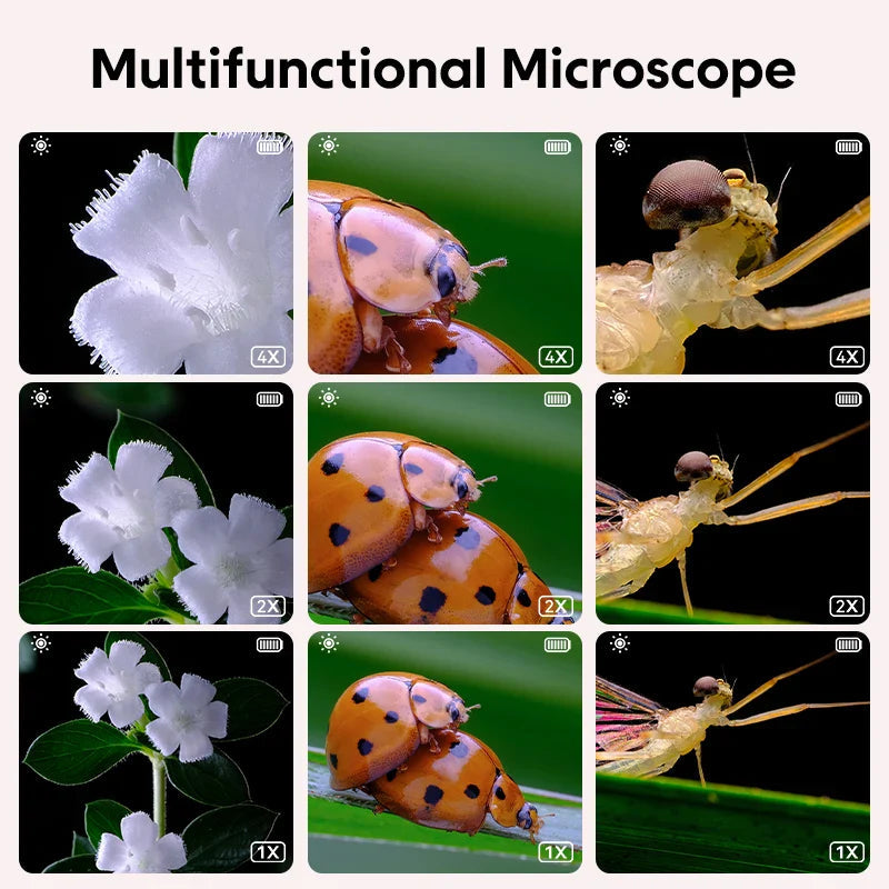 Entdecker - Mikroskop - Wissenschaft Hautnah