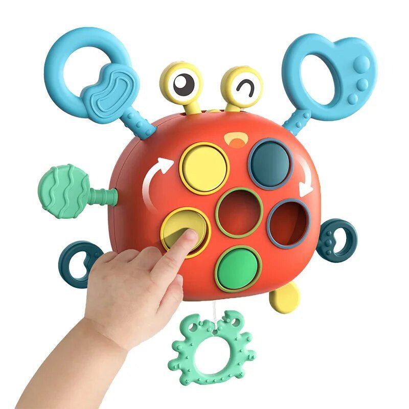 Sensorisches Entwicklungs-Spielzeug für Babys