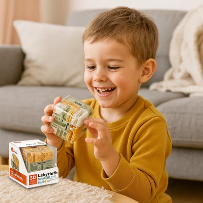 3D Labyrinth Puzzle Würfel