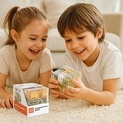 3D Labyrinth Puzzle Würfel